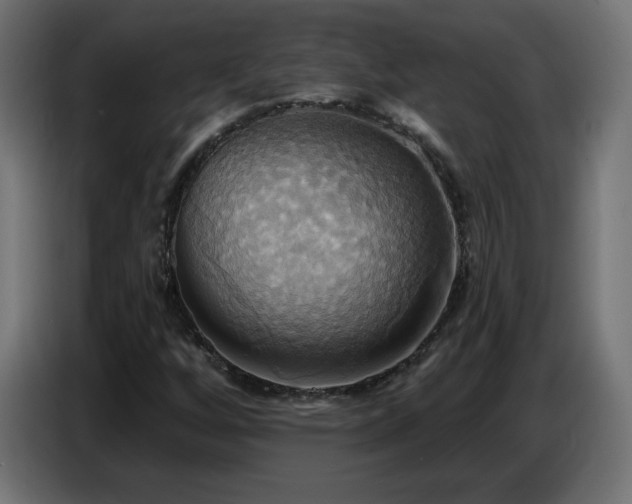 X0000086751256200704131143