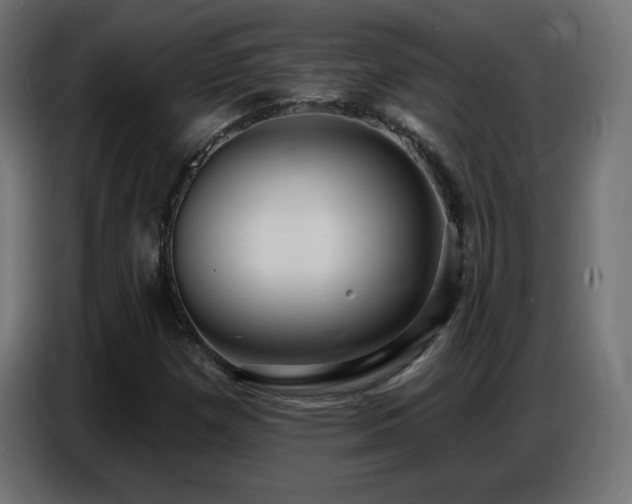 X0000086751257200704131143