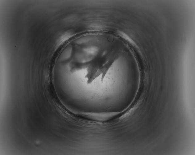 X0000086751259200704131143