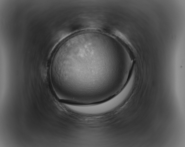 X0000086751260200704131143