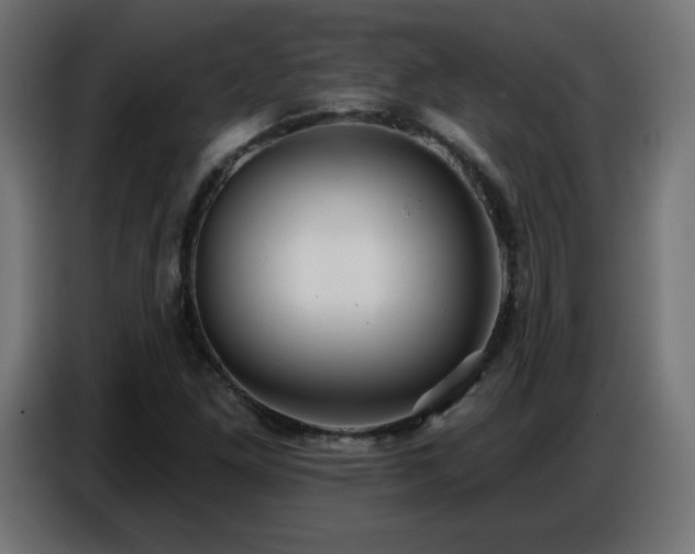 X0000086751261200704131143