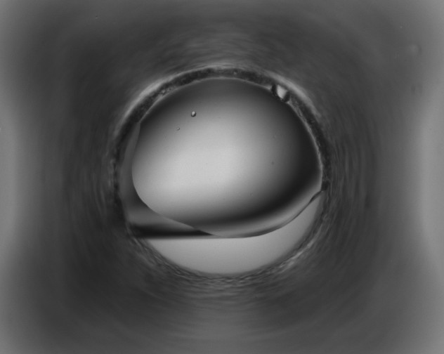X0000086751263200704131143