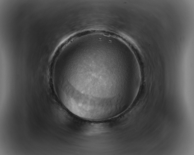 X0000086751264200704131143