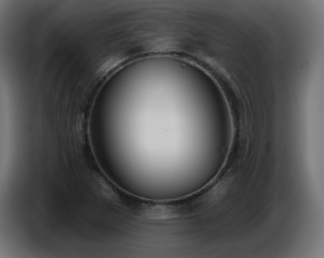 X0000086751265200704131143
