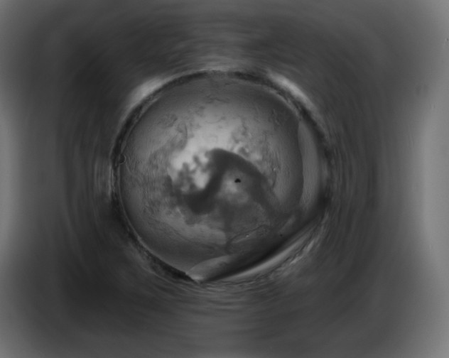 X0000086751267200704131143