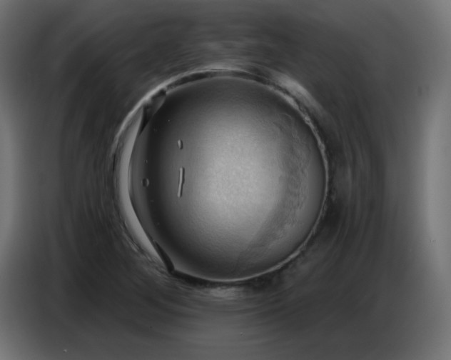 X0000086751268200704131143