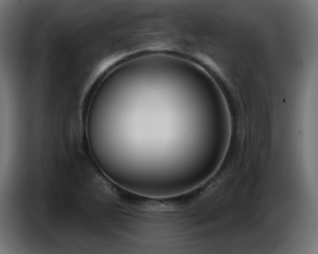 X0000086751270200704131143