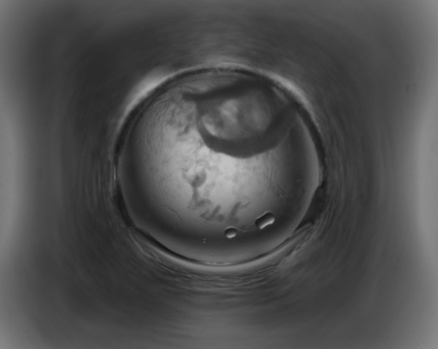 X0000086751271200704131143