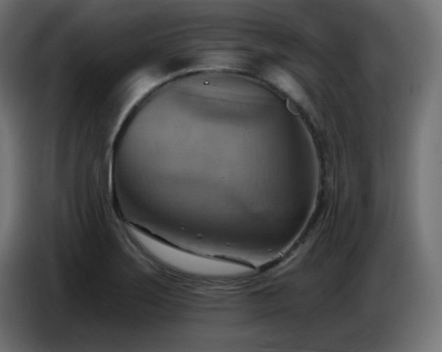X0000086751275200704131143
