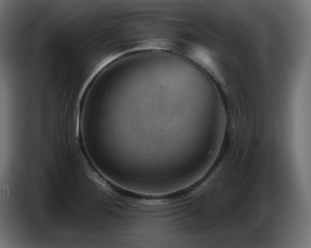 X0000086751276200704131143
