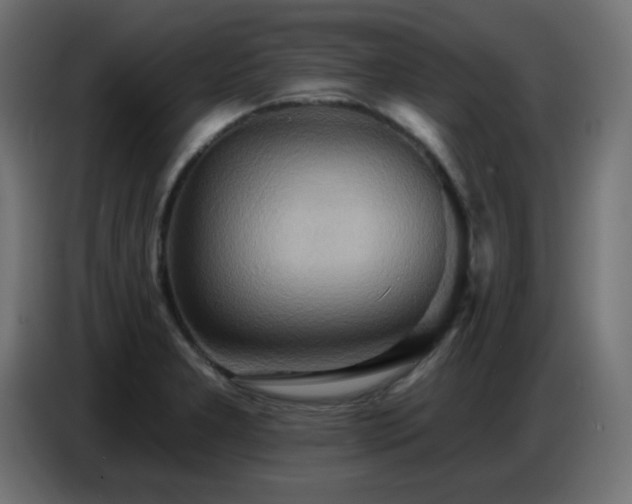 X0000086751277200704131143