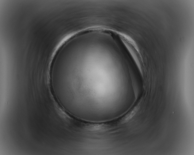 X0000086751279200704131143