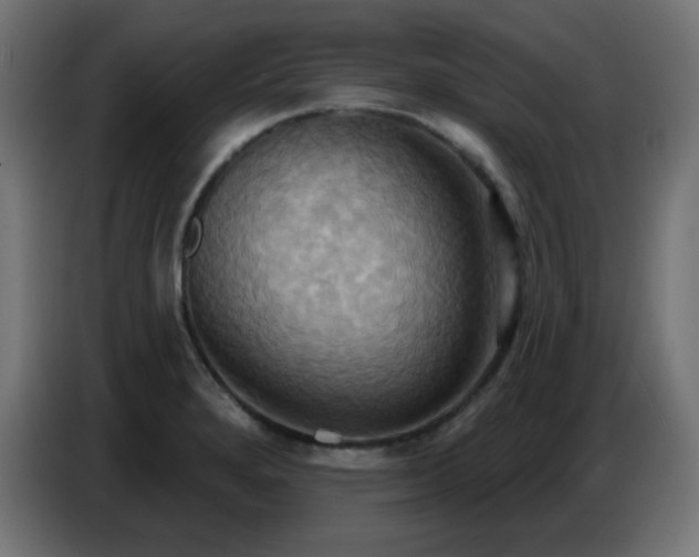 X0000086751280200704131143