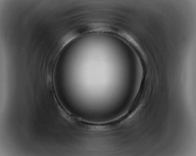 X0000086751281200704131143