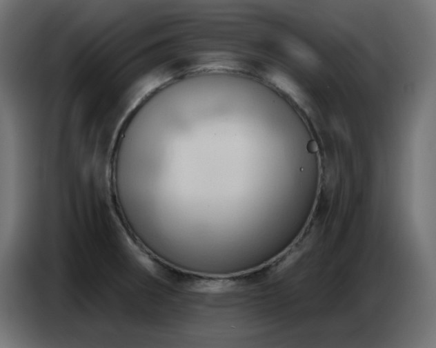 X0000086751282200704131143