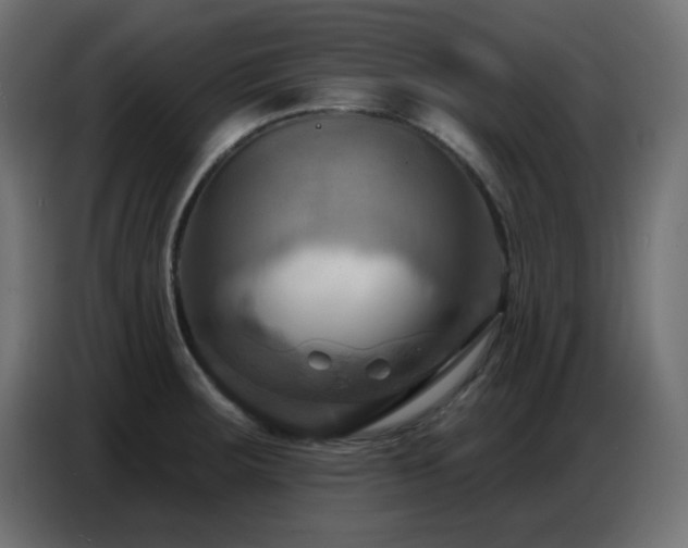 X0000086751283200704131143