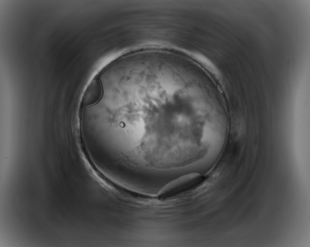X0000086751287200704131143
