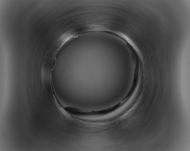 X0000086751289200704131143