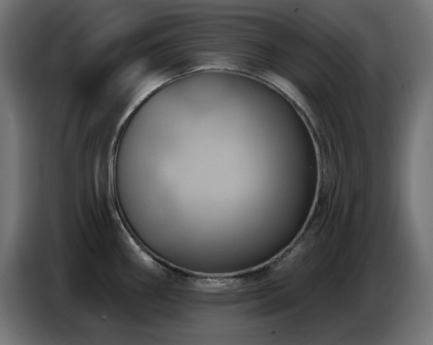 X0000086751290200704131143