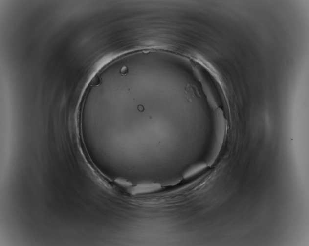 X0000086751291200704131143