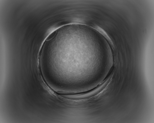 X0000086751292200704131143