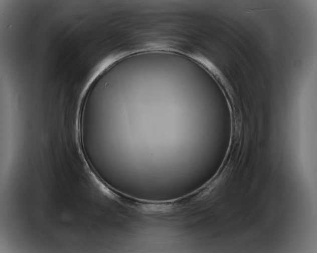 X0000086751294200704131143