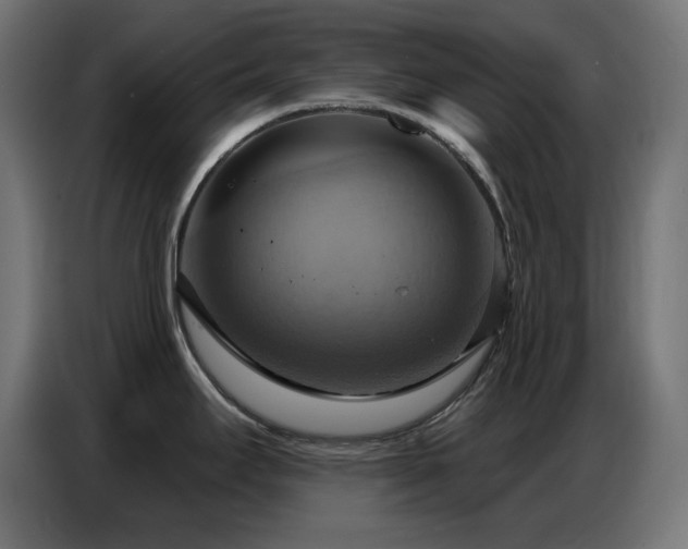 X0000086751295200704131143
