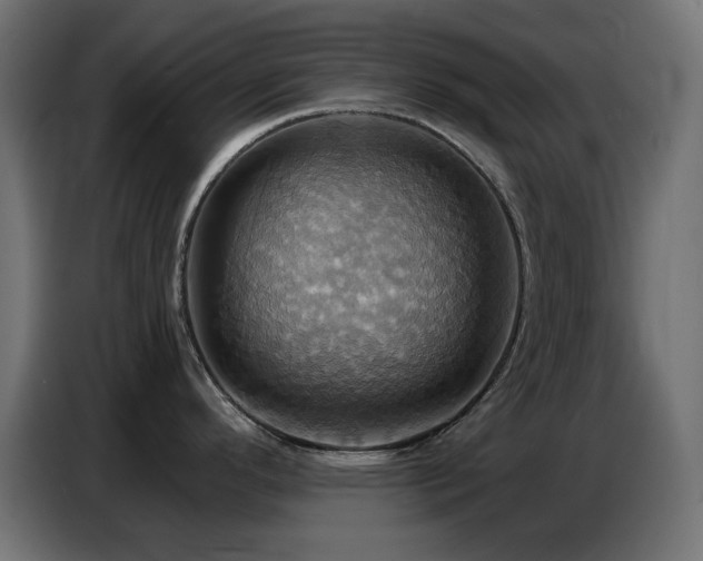 X0000086751296200704131143