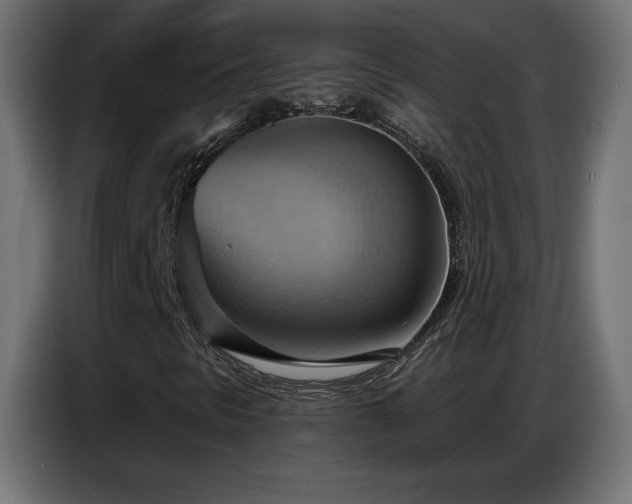 X0000086751297200704131142