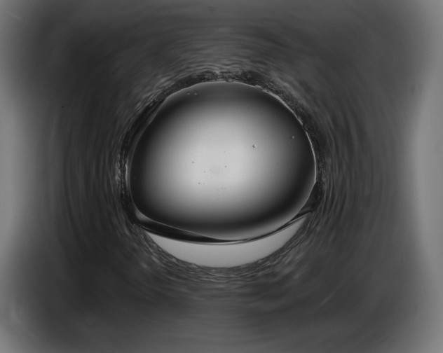 X0000086751298200704131142