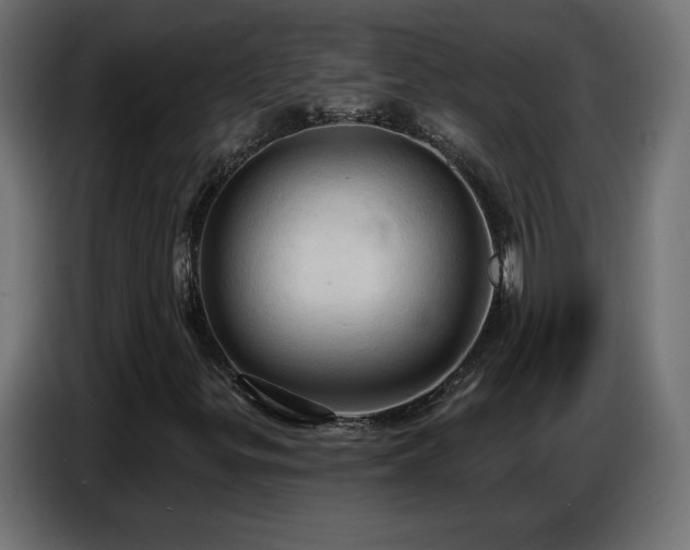 X0000086751299200704131142