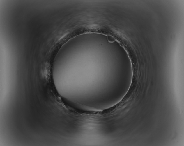 X0000086751301200704131142