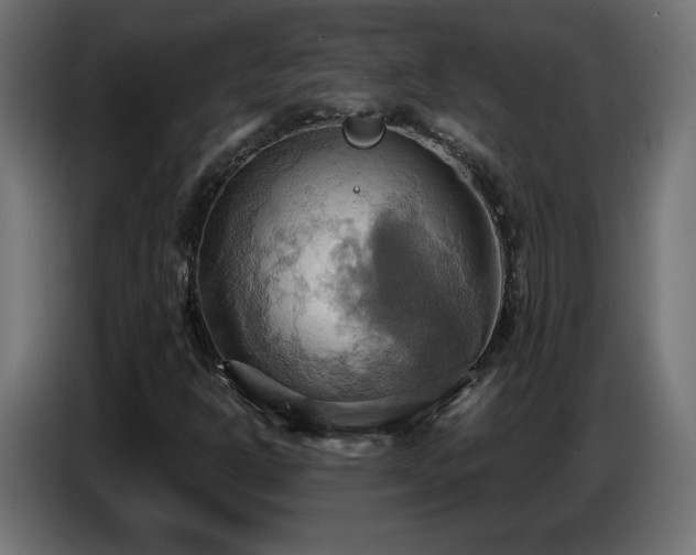 X0000086751302200704131142