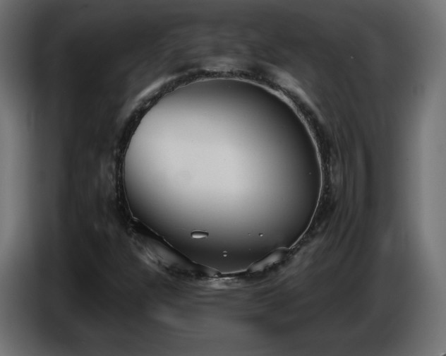 X0000086751304200704131142