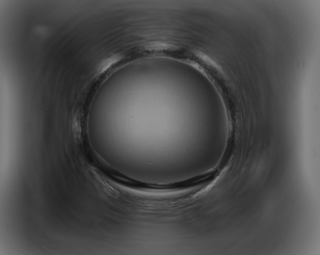 X0000086751305200704131142