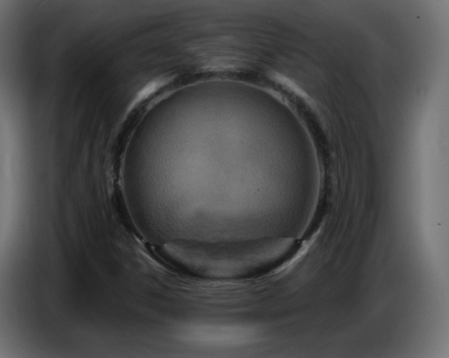X0000086751306200704131142