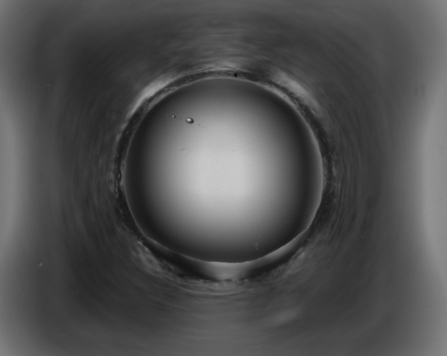 X0000086751308200704131142