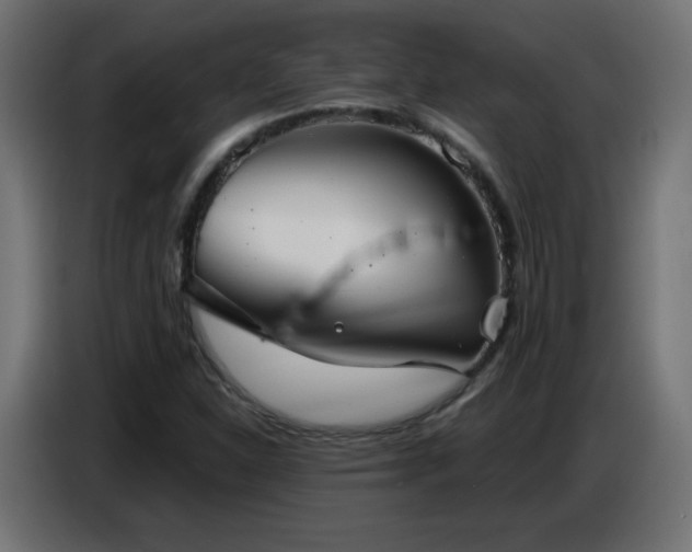 X0000086751310200704131142
