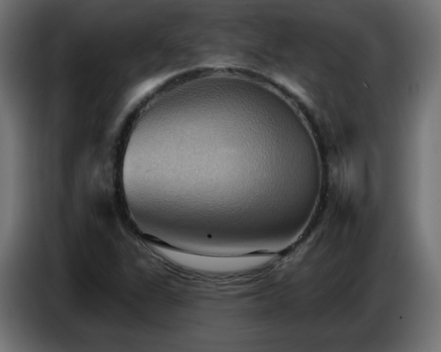 X0000086751311200704131142