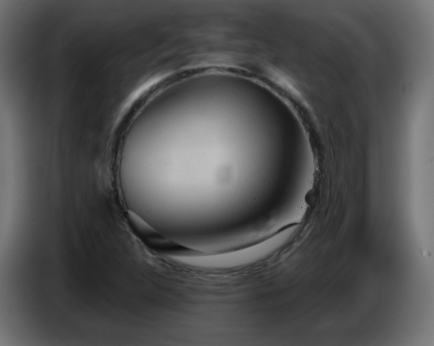X0000086751312200704131142
