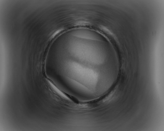 X0000086751313200704131142