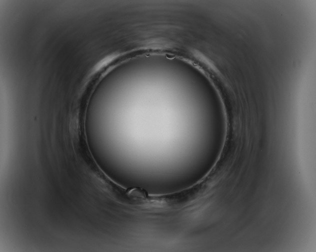 X0000086751315200704131142