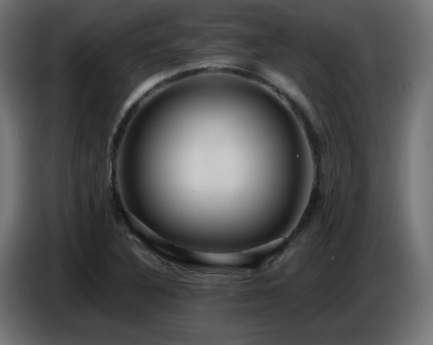 X0000086751316200704131142