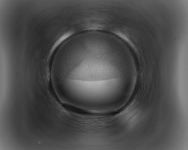 X0000086751317200704131142