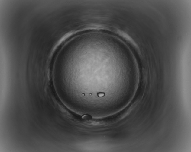 X0000086751318200704131142