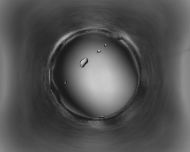X0000086751320200704131142