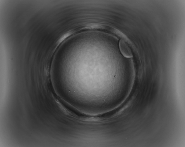 X0000086751321200704131142