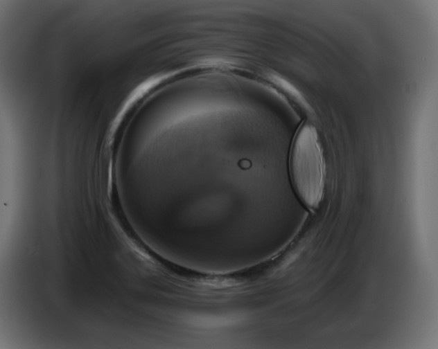 X0000086751323200704131142