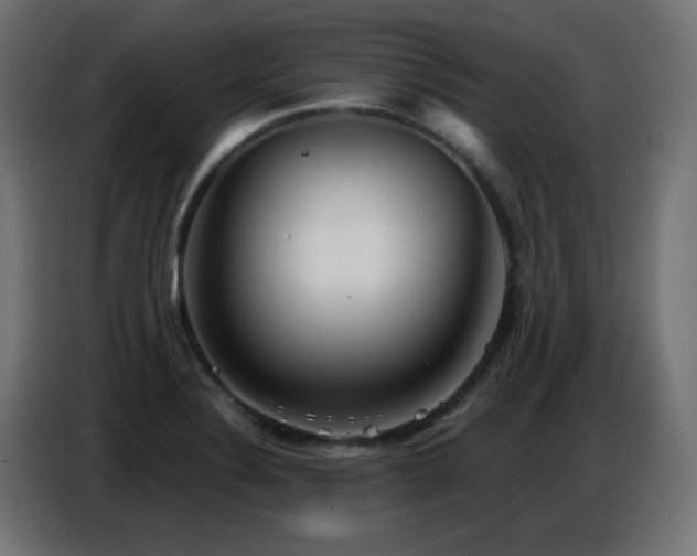 X0000086751324200704131142