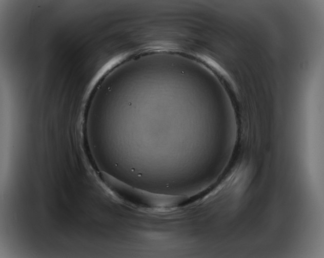 X0000086751325200704131142